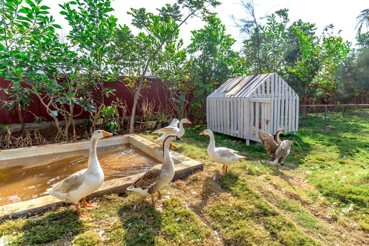 Saffronstays Palm Paradise, Kalyan Khadavli - Swimming Pool With Water Slides, Gazebo And Indoor Games Padghe Dış mekan fotoğraf